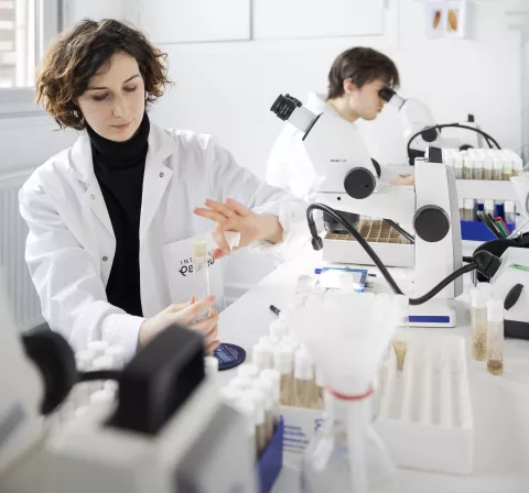 Reportage dans l'unité Mort cellulaire et homéostasie des épithéliums.