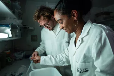 Reportage dans l'unité Arbovirus et Insectes Vecteurs