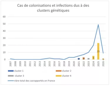 Cas de colonisation et d'infections dus à des clusters génétiques